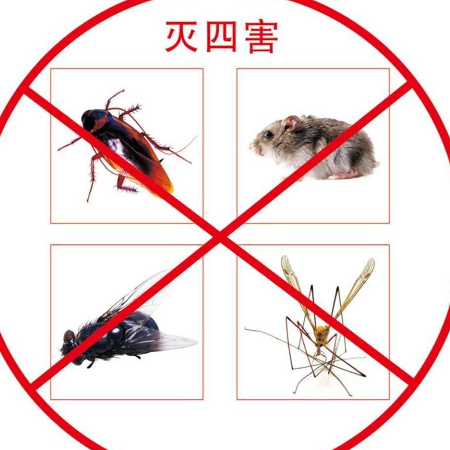 開封有害生物防治.jpg